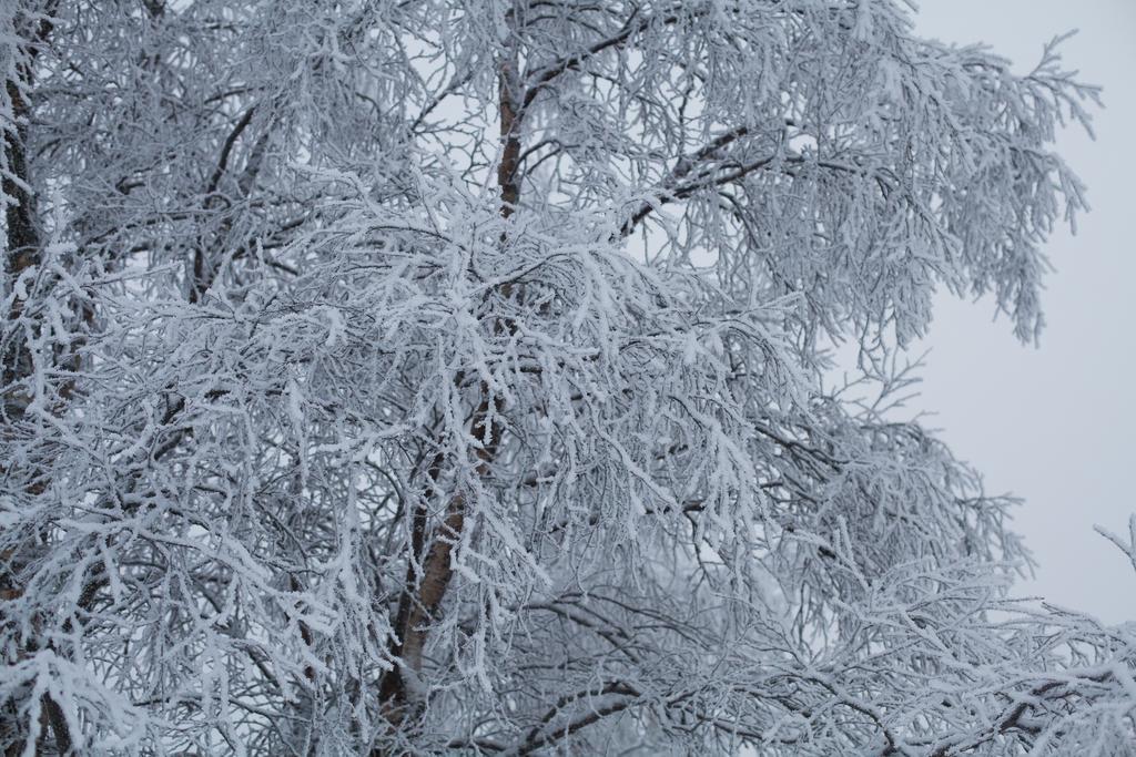 Вилла Petaejaekylae Куусамо Экстерьер фото